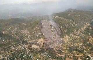 Alanya’daki orman yangınında 6 hektarlık makilik...