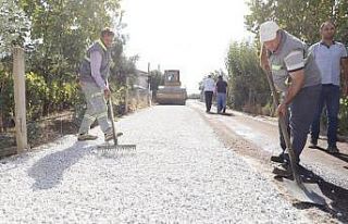 Alaşehir’de binlerce dekar üzüm bağını tozdan...