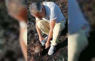 Alevlerin arasından kurtarılan kaplumbağaya can...