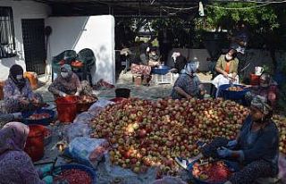 Aliağa’da nar ekşisi kazanları kaynamaya başladı