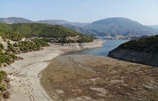 Altınkaya Barajı’nda korkutan görüntü