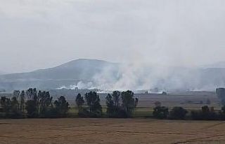 Anız yakanlara ceza yağdı