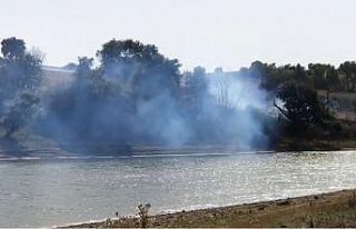 Anız yangını ağaçlık alana sıçradı