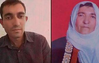 Anne ve oğlunun katiline 2 kez müebbet hapis cezası...