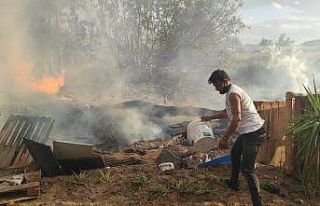 Antalya’da korkutan palmiye yangını