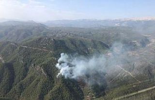 Antalya’daki yangında 10 hektarlık orman yandı