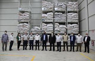 Antep Fıstığı lisanslı depoda ilk ürün alımı...