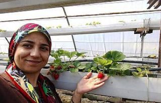 Apartmanın 4. katından düşen kadın öldü