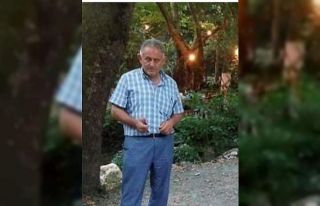 Armut ağacından düşen şahıs hayatını kaybetti