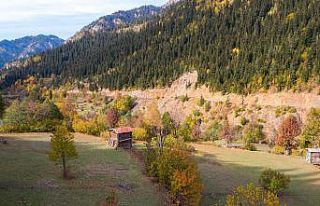 Artvin’den sonbahar manzaraları