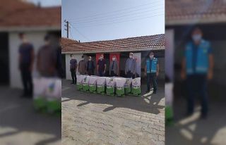 Aslanapa’da çiftçilere yem bitkisi tohumu dağıtıldı
