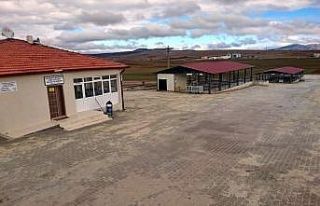 Aslanapa’da hayvan pazarı ve ilçe halk pazarı...