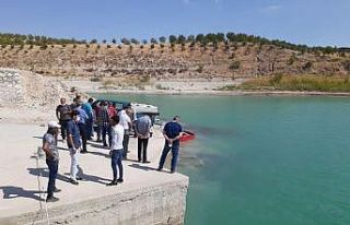 Atatürk Baraj Gölü’ne 300 bin balık yavrusu...