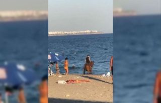 Atını denize süren kovboy, tatilcileri şaşkına...