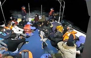 Aydın’da 30 düzensiz göçmen yakalandı