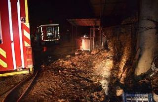 Aydın’da hayvan damı ve saman deposu alevlere...