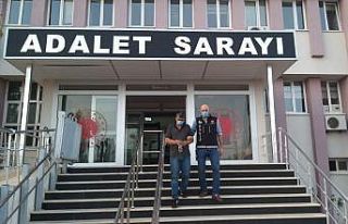 Ayvalık Polisi uyuşturucu satıcılarına geçit...