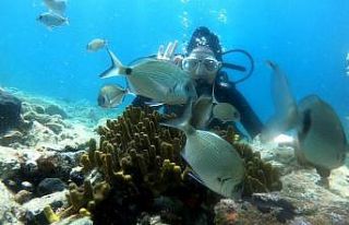 Ayvalık’ın berrak mavi suları sonbaharda ilgi...