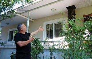 Baba mirası ağacı kesmeye kıyamadı, 8 yıldır...