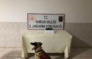 Bafra’da kubar esrar ele geçirildi