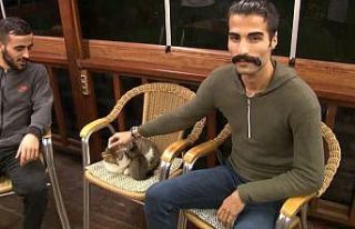 Bağcılar’daki kedi saldırısının görgü tanıkları...