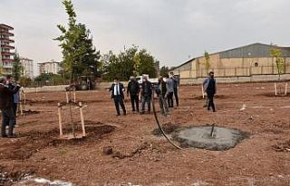 Bağlar, yeni nefes alanlarıyla güzelleşiyor