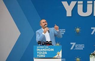 Bakan Gül: "Terör örgütü ciğerlerimizi...