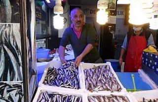 Balık halinde fiyat rekoru hamside