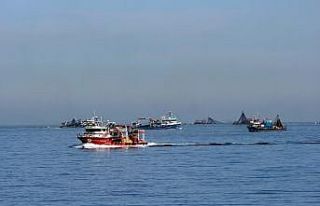 Balıkçı tekneleri sahile akın etti, görsel şölen...