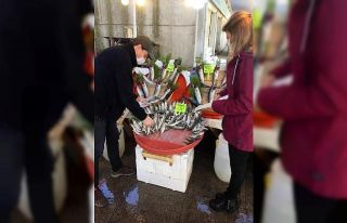 Balıkçılara geniş çaplı denetim