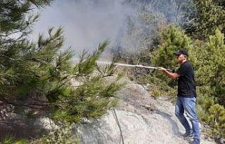 Balıkesir’de orman yangını