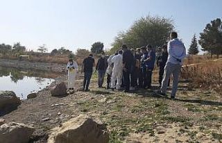 Barajda bulunan ceset bir kadına ait çıktı