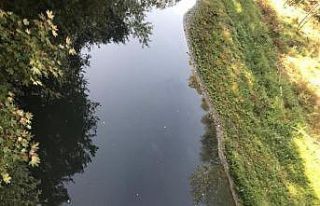 Bartın Irmağı siyaha büründü