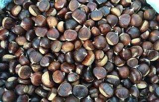 Bartın kestanesi pazardaki yerini aldı