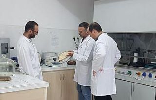 Bartın Üniversitesi’nin projesiyle ahşap “opak”...