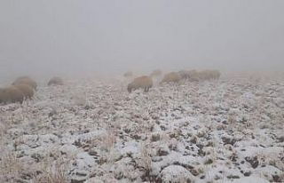 Başkale’de yılın ilk karı yağdı