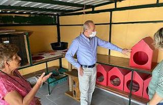 Başkan Atabay’dan kedi evine ziyaret