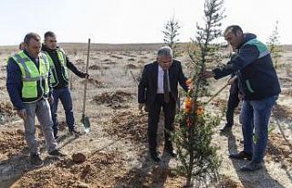 Başkan Büyükkılıç orman yangınlarına meydan...