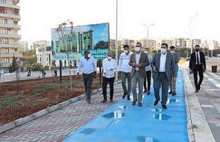 Başkan Canpolat sokak sokak geziyor