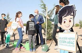 Başkan Çolakbayrakdar, Mevlid Kandili’nde ağaç...