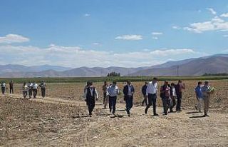 Başkan Şamiloğlu: “Çiftçiye çok acil yem desteği...