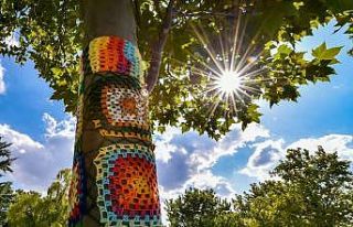 Başkent parklarına kadın dokunuşu