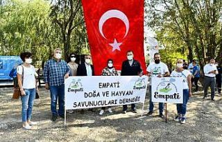 Başkent’te can dostların günü kutlandı