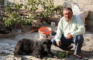 Bataklıktan kurtarılan adam korku dolu anları anlattı