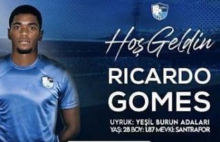 BB Erzurumspor Ricardo Gomes’i transfer etti