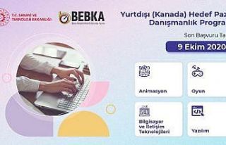 BEBKA’dan,yurtdışı hedef pazar danışmanlık...