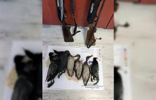 Belgesiz avlanan avcılara ceza