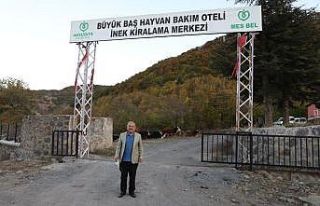 Besicilerin tercihi Hayvan Bakım Oteli