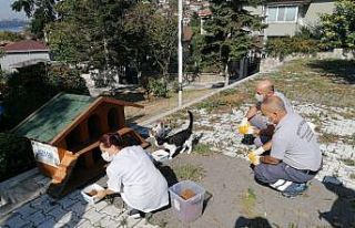 Beykoz Belediyesi 4 Ekim Hayvanları Koruma Gününde...