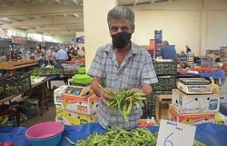 Bilecik yerli ’Boncuk Ayşe’ fasulyesinde sona...